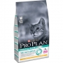 Pro Plan Dental Plus для поддержания здоровья полости рта кошек
