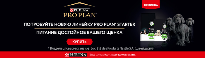 Pro-Plan-Starter