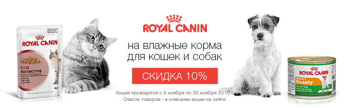 royal-canin-akcija-konsevy-i-pauchi-dlja-koshek-i-sobak-10