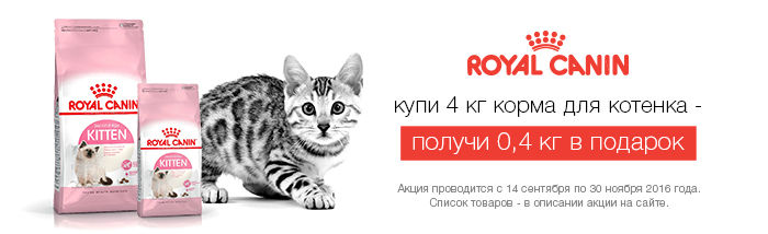 royal-canin-akcja-kitten-babycat-mother-4-kg-400-g
